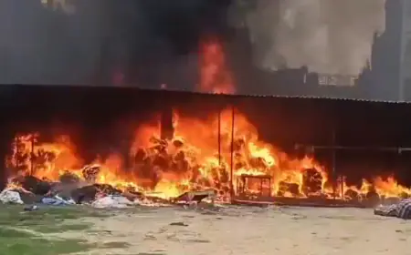 Greater Noida News : गद्दे के गोदाम में लगी आग