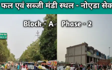 Noida News : सब्जी मंडी के पास सफाई कर रहे दो भाइयों को ऑटो चालक ने मारी टक्कर