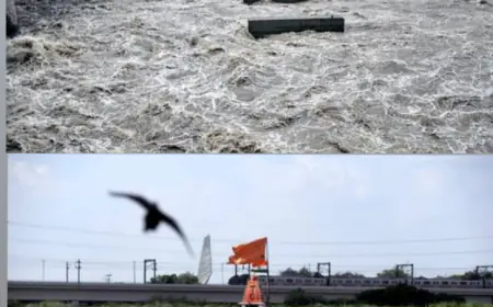 Noida News : यमुना का जलस्तर बढा, ग्रामीण क्षेत्रों और फार्म हाउस में रहने वाले लोगों पर मंडरा रहा है खतरे का बादल