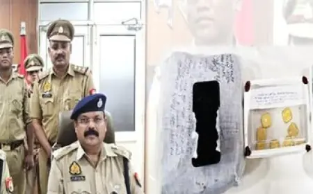 Noida News : घर से लाखों रुपए कीमत के सोने के सिक्के और नगदी चोरी करने वाला नौकर गिरफ्तार