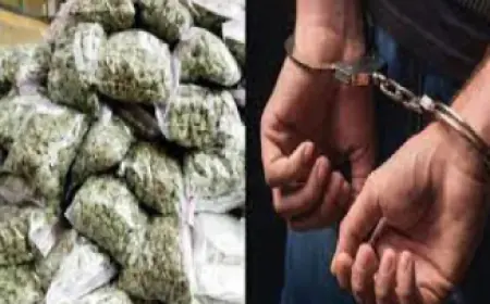 Noida News : उड़ीसा से तस्करी करके गांजा लाने वाले तीन गिरफ्तार, 1.82 कुंतल गांजा बरामद