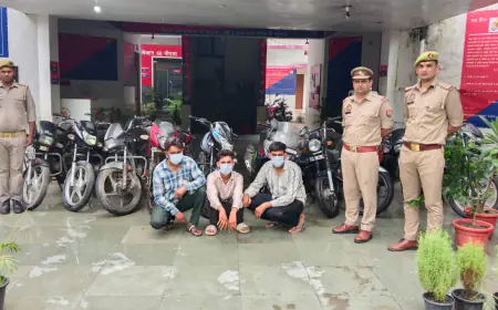 Noida News : तीन शातिर वाहन चोर गिरफ्तार, चोरी की 10 बाइक बरामद