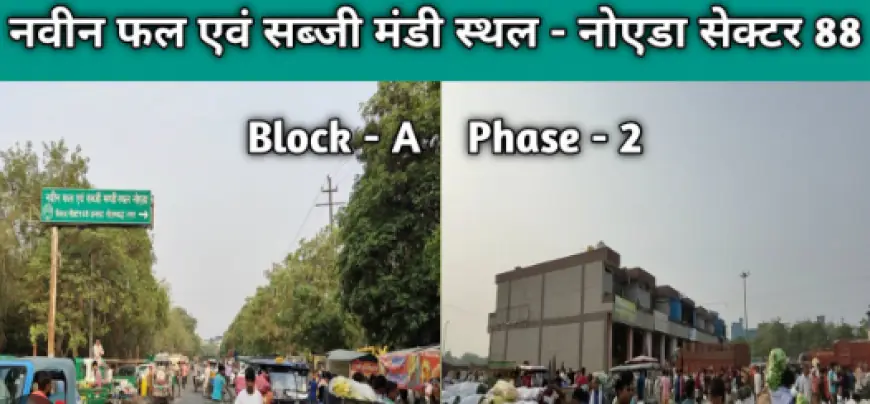 Noida News : सब्जी मंडी के पास सफाई कर रहे दो भाइयों को ऑटो चालक ने मारी टक्कर