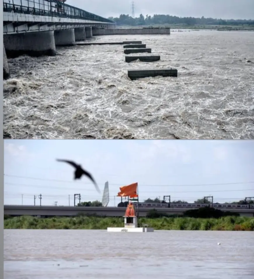 Noida News : यमुना का जलस्तर बढा, ग्रामीण क्षेत्रों और फार्म हाउस में रहने वाले लोगों पर मंडरा रहा है खतरे का बादल