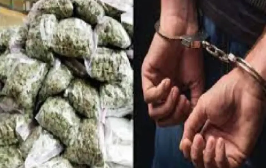 Noida News : उड़ीसा से तस्करी करके गांजा लाने वाले तीन गिरफ्तार, 1.82 कुंतल गांजा बरामद