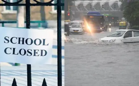 Noida News : गौतम बुद्ध नगर में बुधवार को पहली से 12वीं कक्षा तक बंद रहेंगे स्कूल