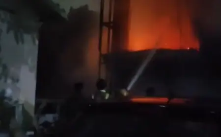 Noida News : विपुल मोटर के गैराज में लगी आग, आठ कारे जलकर हुई खाक