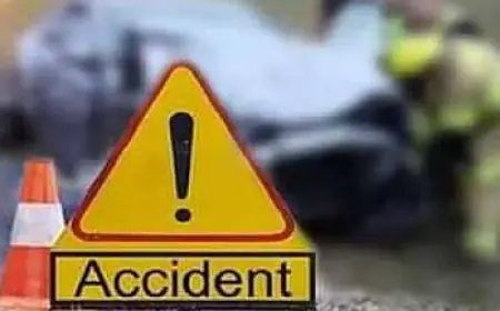 Noida News : सड़क हादसे में महिला की मौत