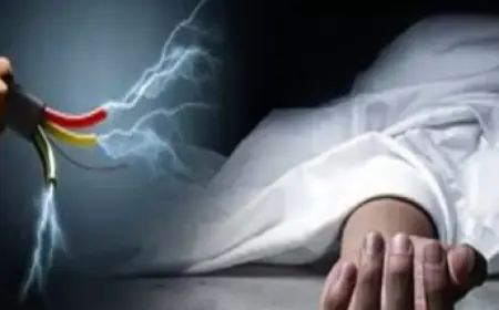 Greater Noida News : बिजली के हाई टेंशन वायर की चपेट में आकर दो झुलसे, एक की मौत