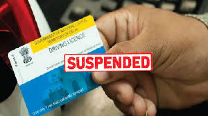 Noida News : नियमों का उल्लंघन करने वाले 1500 लोगों का आठ माह में ड्राइविंग लाइसेंस हुआ निलंबित