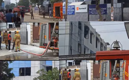 Noida News : फैक्ट्री में लगी भयंकर आग