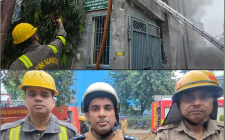 Greater Noida News : फ्रूटी के लिए पेपर स्ट्रा बनाने वाली कंपनी में लगी भयंकर आग, 5 घंटे की मशक्कत के बाद 15 गाड़ियों ने पाया काबू