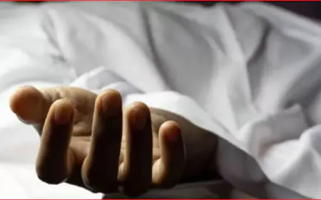 Noida News : नोएडा में बड़ा हादसा, सेफ्टी टैंक में गिरने से दो सगे भाइयों की मौत, पड़ोसी की हालत नाजुक