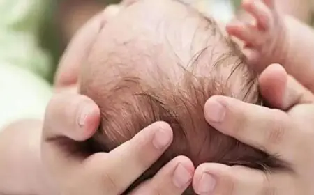 Greater Noida News : सात माह की बच्ची का भ्रूण कूड़े के ढेर मे मिला