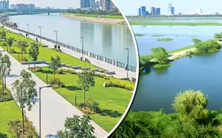 Greater Noida News : यमुना विकास प्राधिकरण क्षेत्र के 7 सेक्टरों में बनेगा यमुना रिवर फ्रंट