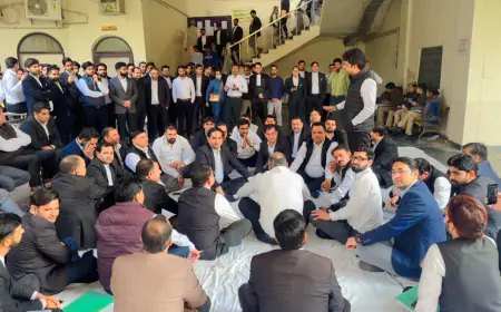 Noida News : बार एसोसिएशन के चुनाव को समय पर कराने की मांग को लेकर अधिवक्ताओं ने दिया धरना