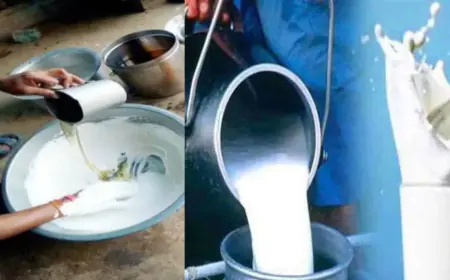 Noida News : खाद्य पदार्थों में मिलावट के 6 मामलों में दुकानदारों पर 17.10 लाख रुपये का जुर्माना