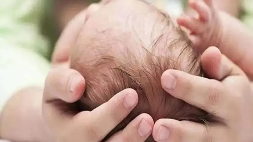 Greater Noida News : सात माह की बच्ची का भ्रूण कूड़े के ढेर मे मिला