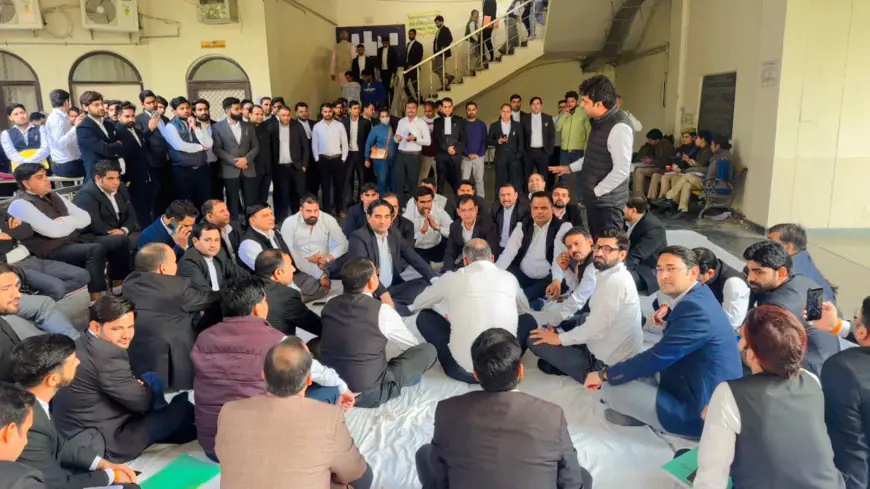 Noida News : बार एसोसिएशन के चुनाव को समय पर कराने की मांग को लेकर अधिवक्ताओं ने दिया धरना