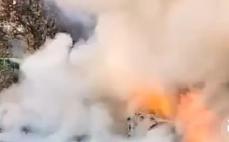 Noida News : चलती हुई बीएमडब्ल्यू कार में लगी आग