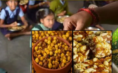 Noida News : मिड डे मील योजना में छात्रों को चना, गुड़-तिल-मूंगफली की गजक, चौलाई और बाजरे का लड्डू  दिया जाएगा