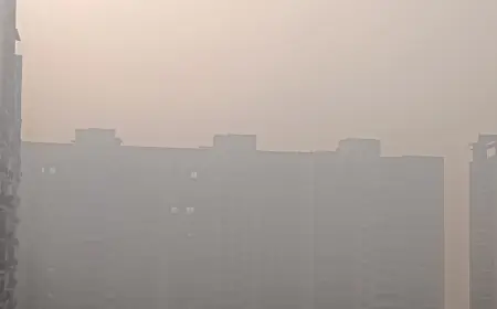 Noida News : सांसों पर आफतः गैस चैंबर बना एनसीआर, सभी प्रमुख शहर डार्क रेड जोन में, ग्रैप -4 लागू