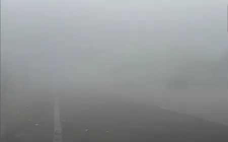 Noida News : धुंध की चादर में लिपटा शहर, एक्सप्रेसवे समेत प्रमुख मार्गों पर रेंगते नजर आए वाहन,दृश्यता रही काफी कम