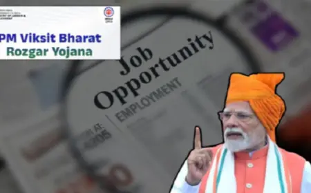 Noida News : चार माह में नोएडा में मिली 24 हजार लोगों को नौकरी