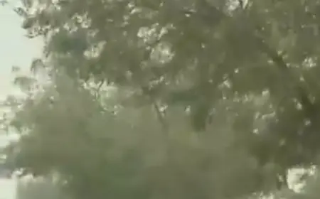 Noida News : तीसरे दिन भी नोएडा रहा देश के सबसे प्रदूषित शहर