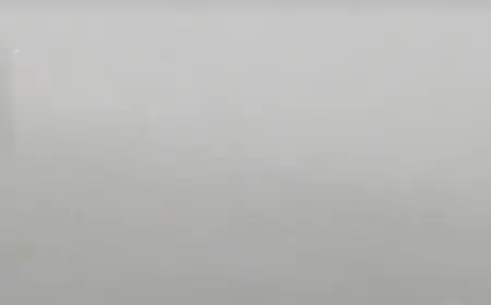 Noida News : सफेद चादर में लिपटा एनसीआर, कोहरे के चलते दृश्यता रही शून्य