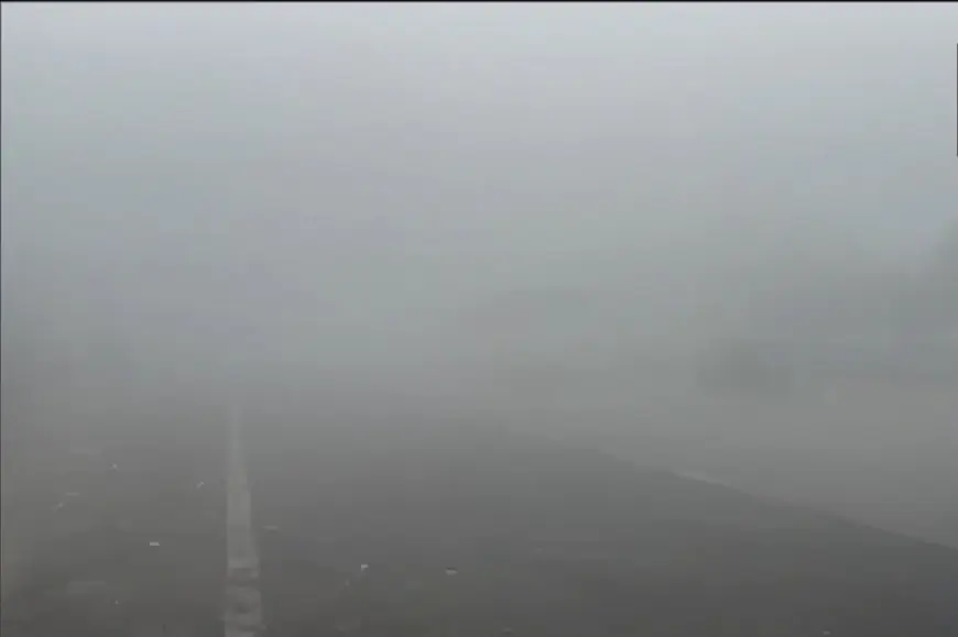 Noida News : धुंध की चादर में लिपटा शहर, एक्सप्रेसवे समेत प्रमुख मार्गों पर रेंगते नजर आए वाहन,दृश्यता रही काफी कम