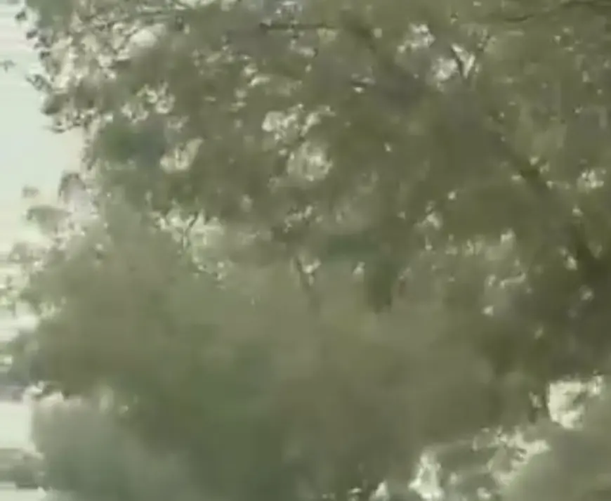 Noida News : तीसरे दिन भी नोएडा रहा देश के सबसे प्रदूषित शहर