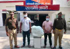 Noida News : दो गांजा तस्कर गिरफ्तार
