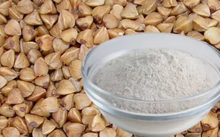 Greater Noida News : शिवरात्रि महापर्व पर दूषित कुट्टू का आटा खाने से 30 लोग बीमार, मुकदमा दर्ज