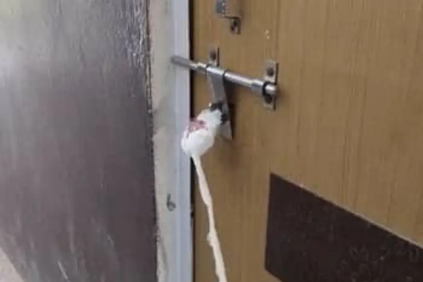 Noida News : एक माह में पांच अल्ट्रासाउंड सेंटर हुए सील