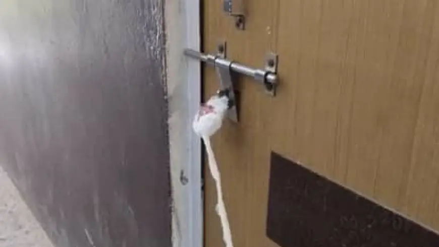 Noida News : एक माह में पांच अल्ट्रासाउंड सेंटर हुए सील