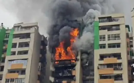 Ghaziabad News : गाजियाबाद के गौर ग्रीन एवेन्यू सोसायटी के कई प्लैटों में लगी भीषण आग, मचा हड़कंप