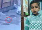 Noida News : लोहे का गेट गिरने से पांच वर्षीय बच्चे की मौत, हादसा सीसीटीवी में कैद