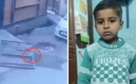 Noida News : लोहे का गेट गिरने से पांच वर्षीय बच्चे की मौत, हादसा सीसीटीवी में कैद