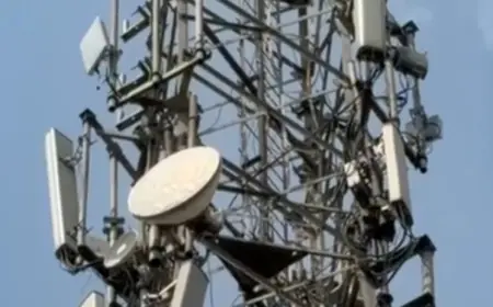 Greater Noida News : मोबाइल फोन के ऊंचे टावर पर चढ़ा युवक