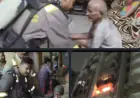 Noida News : सोसाइटी के फ्लैट में लगी आग, अंदर फंसे बुजुर्ग दंपति को फायर ब्रिगेड ने सकुशल बाहर निकाला,अस्पताल मे भर्ती