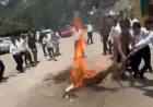 Noida News : ई- पंजीकरण  व्यवस्था के विरोध में अधिवक्ताओं ने फूंका उत्तर प्रदेश के स्टांप एवं पंजीयन मंत्री का पुतला