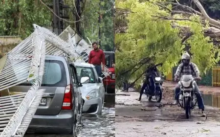 Noida News : तेज आंधी तूफान के चलते दीवार गिरी ,  ईट से चोट लगने की वजह से युवक की मौत, जगह-जगह उखड़े पेड़ और बिजली के खंभे, यातायात प्रभावित