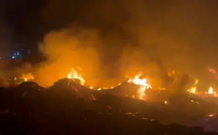 Greater Noida News : रेंटों मोजो कंपनी के वेयरहाउस में लगी भयंकर आग, करोड़ का माल जलकर खाक