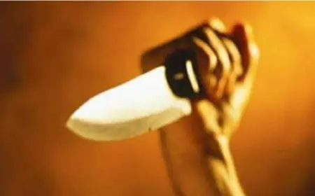 Greater Noida News : वहशी दरिंदे पति ने महिला के ऊपर चाकू से किया ताबड़तोड़ हमला, बचाने आए पिता को भी पीटा