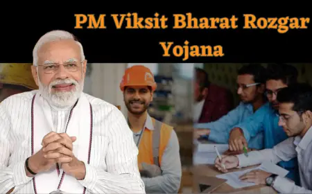 Noida News : प्रधानमंत्री विकसित भारत रोजगार योजना के अंतर्गत पहली बार नई नौकरी देने में नोएडा प्रदेश में अव्वल