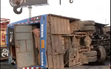 Noida News : फर्रुखाबाद से दिल्ली जा रही स्लीपर बस अनियंत्रित होकर पलटी, 17 यात्री हुए घायल