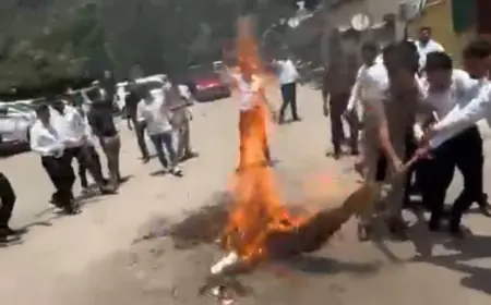 Noida News : ई- पंजीकरण  व्यवस्था के विरोध में अधिवक्ताओं ने फूंका उत्तर प्रदेश के स्टांप एवं पंजीयन मंत्री का पुतला