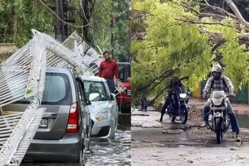 Noida News : तेज आंधी तूफान के चलते दीवार गिरी ,  ईट से चोट लगने की वजह से युवक की मौत, जगह-जगह उखड़े पेड़ और बिजली के खंभे, यातायात प्रभावित