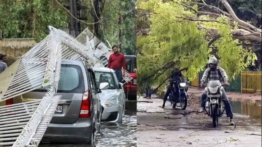 Noida News : तेज आंधी तूफान के चलते दीवार गिरी ,  ईट से चोट लगने की वजह से युवक की मौत, जगह-जगह उखड़े पेड़ और बिजली के खंभे, यातायात प्रभावित